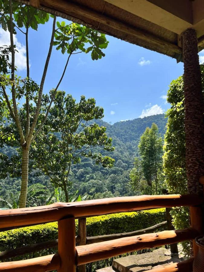 Bwindi Forest Lodge Buhoma Extérieur photo