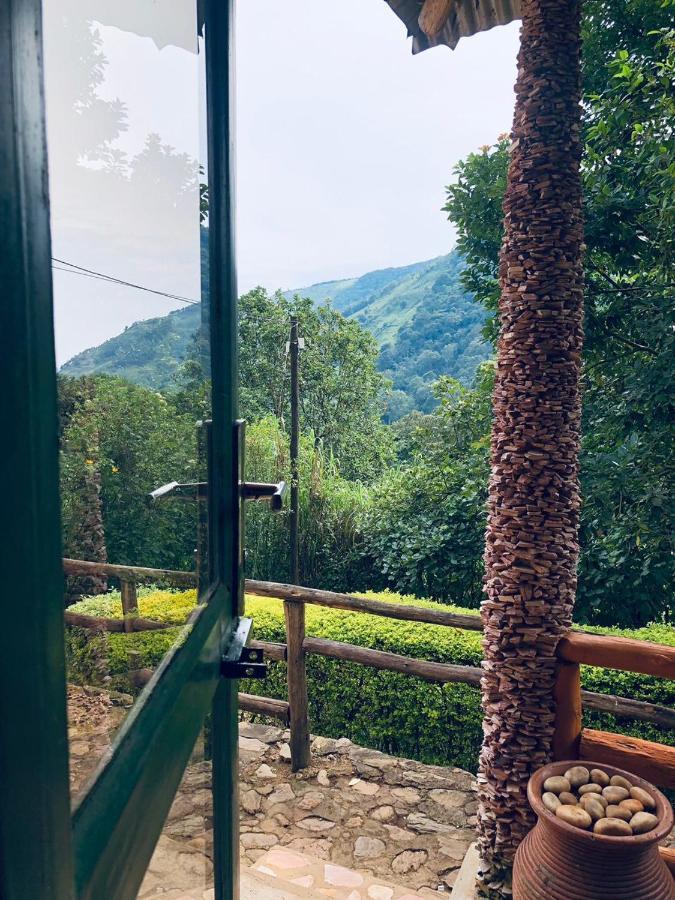 Bwindi Forest Lodge Buhoma Extérieur photo