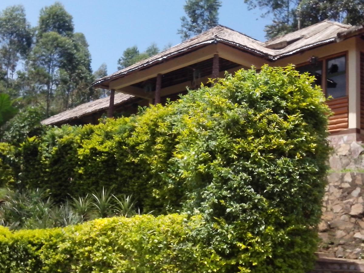 Bwindi Forest Lodge Buhoma Extérieur photo